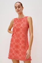 Load image into Gallery viewer, Rails Ginger
